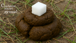 sugaronpoop.png